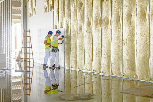 Best Eco-Friendly Insulation in New Berlin, IL